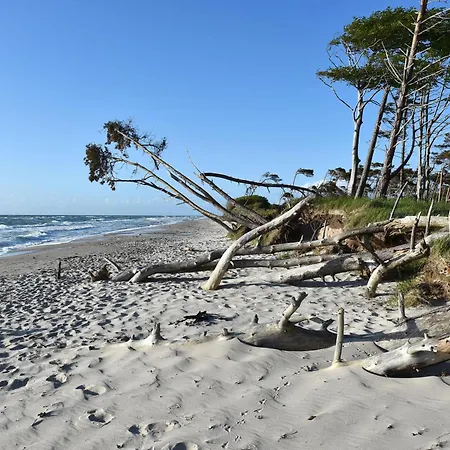 Leuchtturm An Der Seebruecke Apartment Zingst